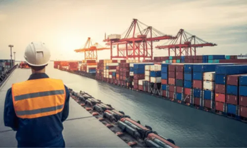 un addetto ai trasporti navali di spalle con dispositivi di sicurezza gillet e caschetto in un porto con delle navi merci in lontananza